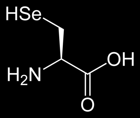 21. proteinogenní aminokyselina - selenocystein Selenocystein (Se-ys) vyšší redukční potenciál než ys - v bílkovinách s
