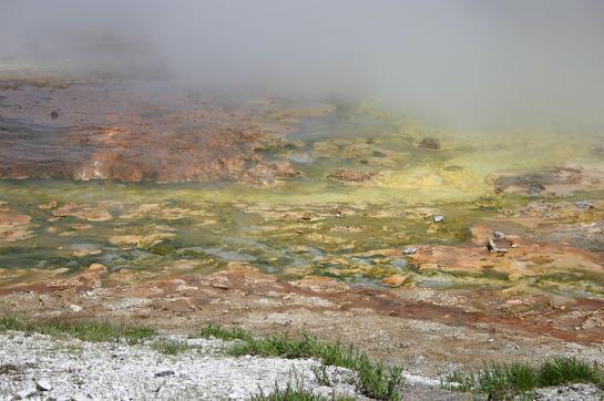 22. proteinogenní aminokyselina - pyrrolysin pyrrolysin Vrstvy termofilních archeí v Yellowstonském národním parku Archea - prastará forma života - stáří se odhaduje až na 3,5 miliardy let známa