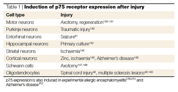 Na obrázku vlevo vidíte schematické modely aktivace Trk a p75 receptorů. Z Neurotrophins and their receptors: A convergence point for many signalling pathways, Moses V.