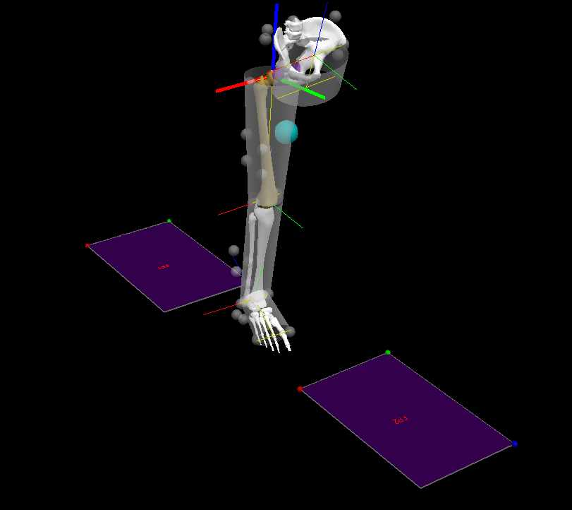 8.5 Analýza dat Kinetická i kinematická data získaná při měření byla zaznamenávána pomocí softwaru Qualisys Track Manager.