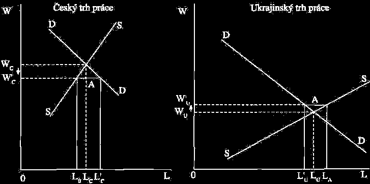 české firmy L C lidí, neboli zaměstnanost v ČR vzroste z původní L C na L C. Zároveň však nižší mzda sníží nabízené množství práce na L B.