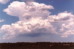 KAPITOLA 2 Kumulonimbus Kumulonimbus je dle mezinárodní klasifikace oblačnosti označení pro vertikálně mohutný bouřkový oblak.