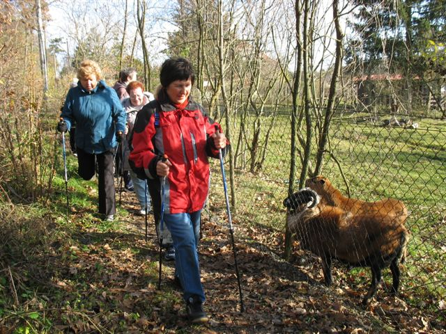 Určena je široké veřejnosti, využívají ji prozatím hlavně senioři nejen jako možnost aktivního trávení času, ale též