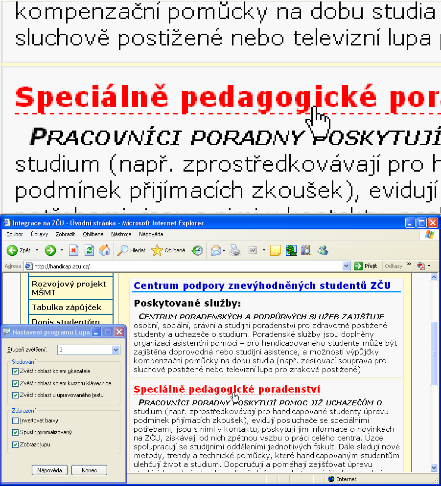 Handicapovaní uživatelé webových stránek 34 http://www.freedomscientific.com/fs_downloads/magic.