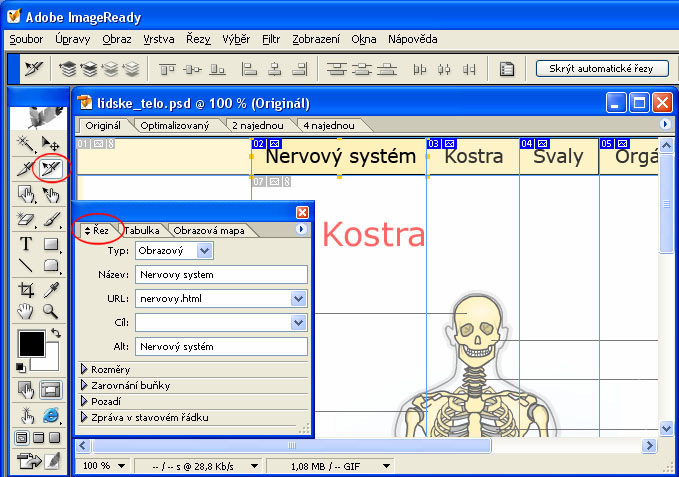 Využití aplikací Adobe Photoshop a ImageReady při tvorbě webových stránek 90 Obrázek 36: Prostředí pro práci s řezy v aplikaci ImageReady