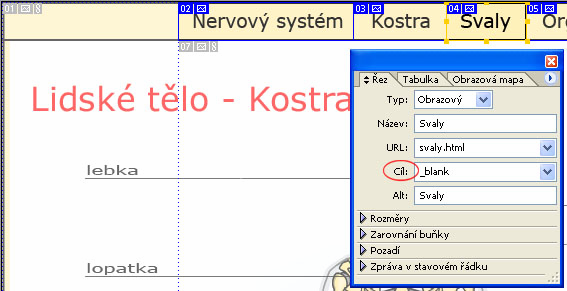 alternativní text. Abychom mohli mezi řezy přepínat, musíme mít aktivován nástroj Výběr řezu (lze aktivovat klávesou O).