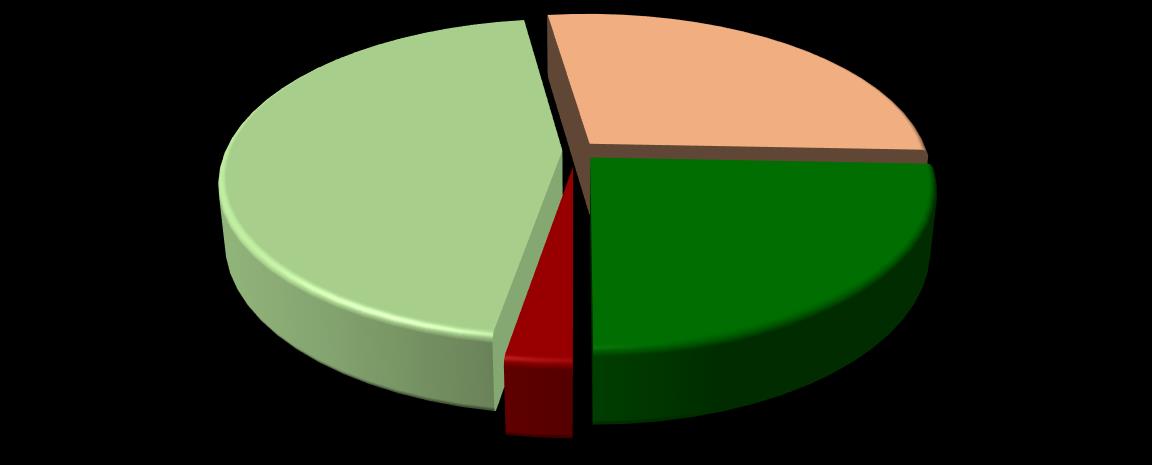 Výroční zpráva o činnosti za školní rok 2012-2013 Výsledky výchovy a vzdělávání Celkový prospěch žáků za 1.