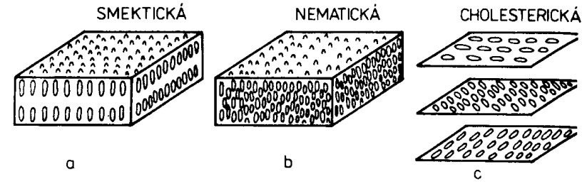 Vnitřní uspořádání může být uspořádáno do jedné ze tří struktur: a) smektická b) nematická c) cholesterická (chirálně nematická) molekuly mají v kaţdé vrstvě materiálu jiný směr a vytváří spirálu.