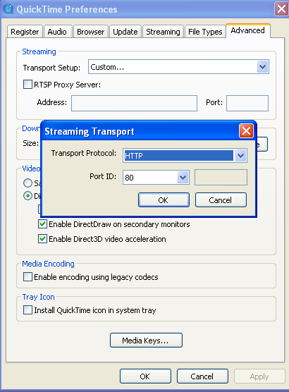 Příklad je na obrázku 31. Klikněte na Advanced, v Transport Setup zvolte custom. Zvolte HTTP jako transport protocol a 80 as port ID, klikněte na ok, vraťte se do Transport Setup a změňte Custom.