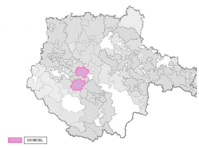 Mapa 8. Vymezení DSO mikroregion Chelčicko-Lhenický v rámci Jihočeského kraje Zdroj: //http://www.mapy.crr.