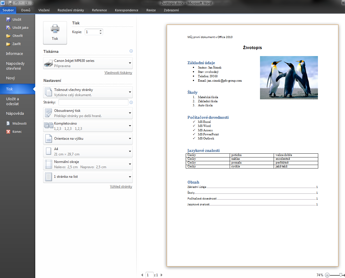 Microsoft Word 2010 Tisk Soubor Tisk Vidím náhled a mohu nastavit tisk