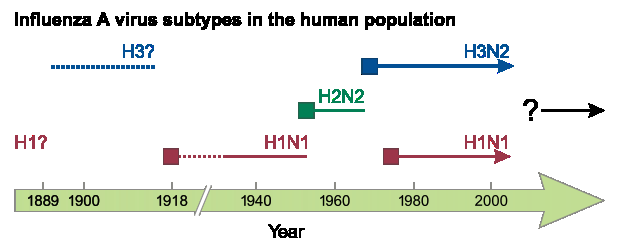 Historie pandemií chřipky Španělská chřipka (1918) 50 mil.