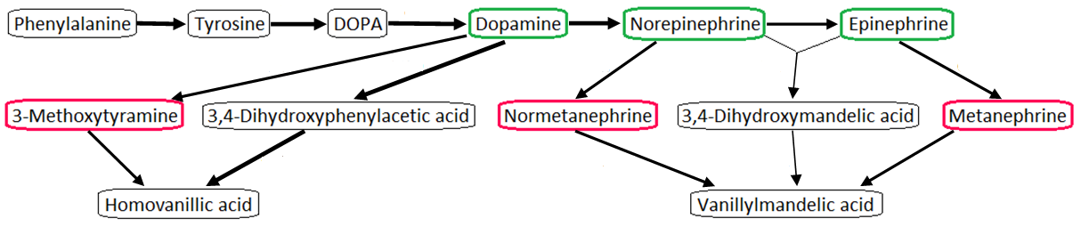 Plasma Free Metanephrines as Diagnostic Markers of Pheochromocytoma (Volné plazmatické metanefriny jako diagnostické markery feochromocytomu) Lenka Portychová a, Zora Nývltová b, Alice Brabcová