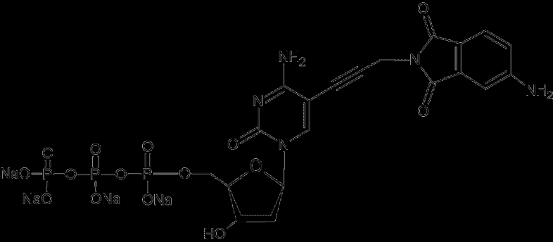 Voltammetric Behavior of 4-Aminophthalimide Label using Hanging Mercury Drop Electrode Zuzana Ferenčíková a, Aleš Daňhel b, Jan Reidl c, Michal Hocek c, and Miroslav Fojta a,b a Central European