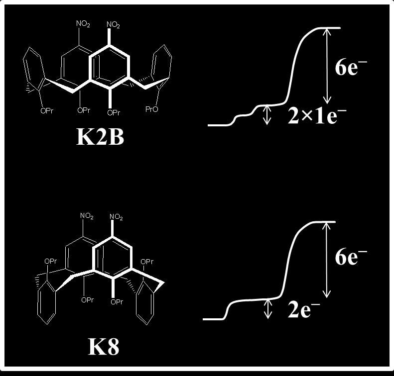 one half of theoretical value. It follows from the previous investigations that the first (less negative) potential corresponds to reduction of the form with more distant nitro groups.