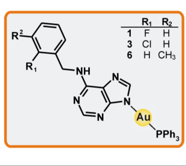 4. Komplexy jiných p echodných kov s r znými N-donorovými ligandy Již na předešlých stranách této práce je uvedeno, že moderní bioanorganická chemie biologicky aktivních komplexů přechodných kovů má