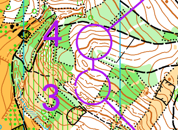 LONG - závodní mapa