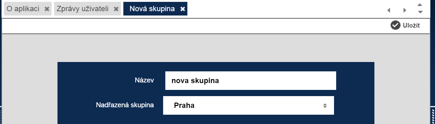 U každé skupiny je povinnou položkou název skupiny a nadřazená skupina. Nadřazenou skupinou se myslí organizační jednotka, která bude v hierarchii organizační struktury nové skupině přímo nadřízena.