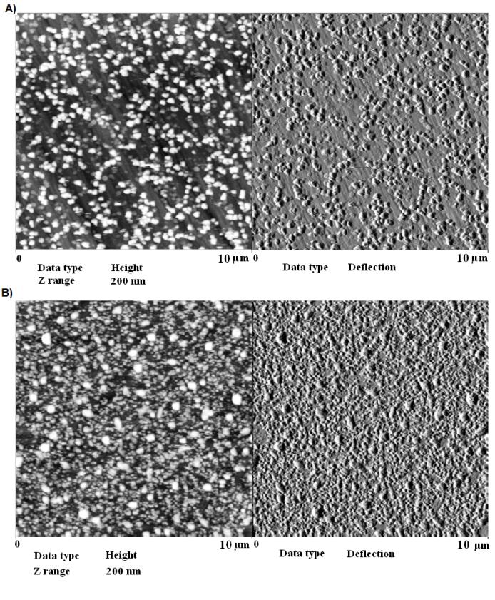 Fig. 1. AFM images of the surface of the lead film electrode prepared ex situ without (A) and with (B) the use of a reversibly deposited mediator zinc and after in situ plating with lead (left).