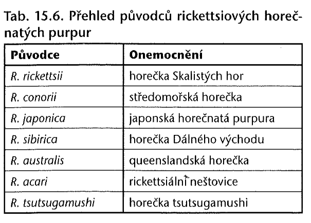 - Chovatelé papoušků atypická pneumonie, spojená s hepatitidou a myokarditidou Rickettsiové infekce Tyfová (skvrnivková) onemocnění - Charakteristická invazí rickettsií do buněk endotelu změny na