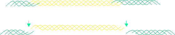 7. Odštěpení registračních peptidů v extracelulárním prostoru pomocí prokolagenních peptidas, vznik tropokolagenu. Prokolagen peptidáza Prokolagen peptidáza 8.