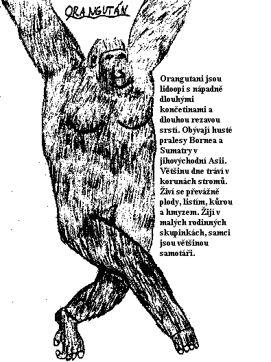 Složení nové Střediskové rady Junáka v Hlinsku v Č. po sněmu, od 15. prosince 2006 Vůdce střediska Zást. vůdce střediska Vedoucí I. roje světlušek Vedoucí II. smečky vlčat Vedoucí III.