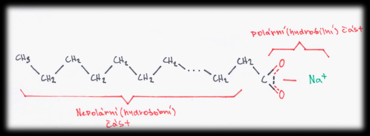 Obrázek 2 Molekula sodné soli Dlouhá alifatická část molekuly, tvořená uhlovodíkovým řetězcem methylenových skupin CH2 a zakončená skupinou methylovou CH3 je hydrofobní (lipofilní) a nepolární; menší