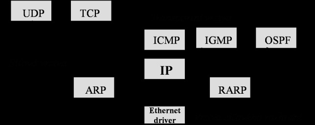 Architektura TCP/IP: - vrstva síťová: směrování a přepojování dtgů, (de)fragmentace dtgů protokoly: - IP = základní protokol sítě, vysílá dtgy, (de)fragmentuje dtgy - ARP, RARP = mapování logické