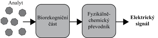 Systémy identifikace mikroorganismů signál vhodný k dalšímu zpracování. Signál je přímo úměrný koncentraci stanovovaných látek ve vzorku.