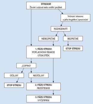 Oba autoři přibližují základní pojmy (stres, distres, eustres) a přinášejí schémata fáze stresu a reaktivity na stres.