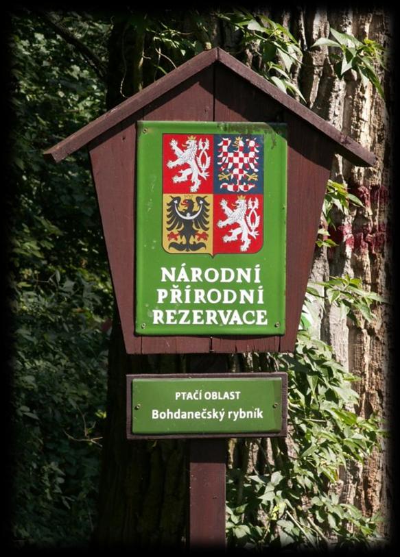 NPR Bohdanečský rybník a rybník Matka Komplex vodních a mokřadních biotopů, vytvořených kolem jednoho z největších zachovalých rybníků někdejší pernštejnské rybniční soustavy, napájený Opatovickým