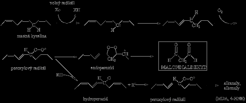 Malondialdehyde as a Biomarker of Oxidative Damage (Malondialdehyd jako biomarker oxidativního poškození) Jana Matějčková, Eva Samcová, and Petr Tůma Charles University in Prague, Third Faculty of