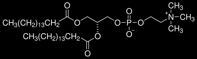 Adsorption of 1,2-dipalmitoyl-sn-glycero-3-phosphocholine on Au(111) and HOPG (Adsorpce 1,2-dipalmitoyl-sn-glycero-3-fosfocholin na Au(111) a HOPG) Jana Bulíčková a, Romana Sokolová a a J.