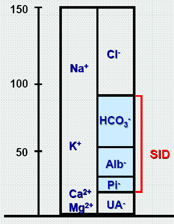 Am J Respir Crit Care Med 2000;162(6):2246