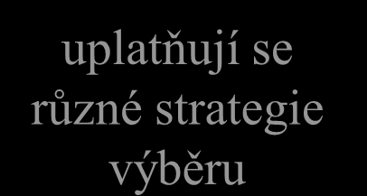 Dávkové zpracování (batch processing) historicky nejstarší pokus o efektivnější využití počítače program uplatňují se různé strategie výběru fronta čekajících úloh