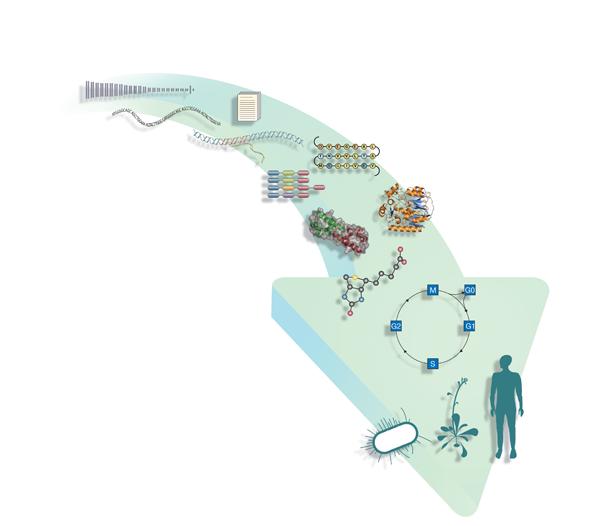 Life Science - od molekul k systému Slovník komponent Gramatika (interakce) Souvislosti a sítě (diagramy