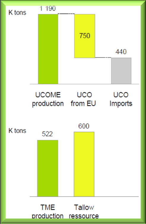 EU Export/import