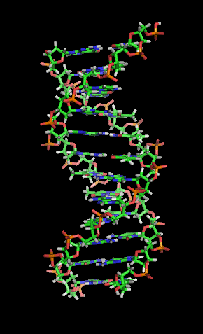 biologické nanostroje molekulární motory DNA jako buněčná paměť princip funkce