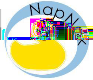 Obrázek 1: Logo projektu NapNak 3. fáze únor 2013 až srpen 2013, 4. fáze září 2013 až únor 2014, 5. fáze únor 2014 až současnost.