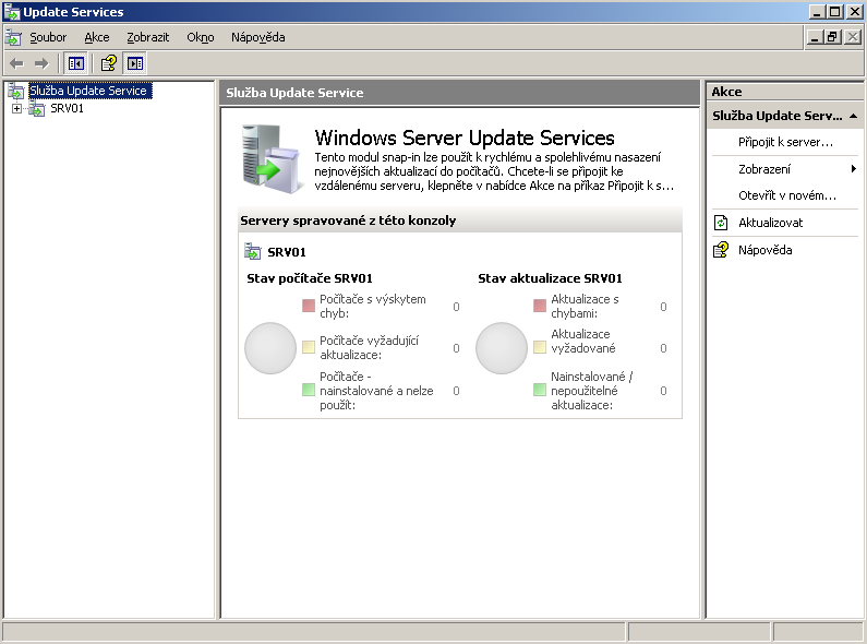 Konzola pro správu WSUS 3.0 (jakkoliv spuštěná), se pokusí automaticky připojit ke službě WSUS lokálního počítače.