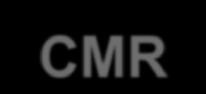 Non-compaction - CMR Měření