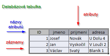 Patrně tím nejzákladnějším pojmem je položka, někdy označována jako atribut či pole, kterou si můžeme představit jako jednoduchou paměť uchovávající určitou vlastnost konkrétní entity, tedy např.