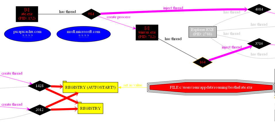 Procdot report Visualised