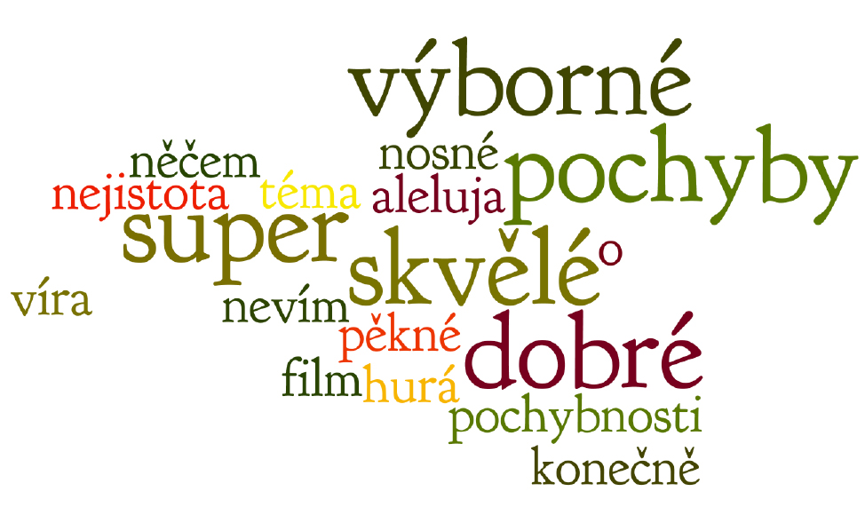 Nepochybná trefa do černého recenze Pochyby jsou ve své podstatě problémová hra, ve které jde o to prozkoumat určitou otázku z různých perspektiv a přinést argumenty pro i proti tak, aby diváci sami