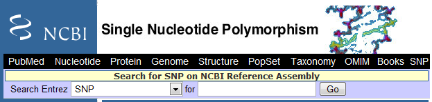 Jednonukleotidové polymorfismy SNP - DNA sekvence lišící se v jediném nukleotidu - Kódující i nekódující oblasti - Záměna nukleotidu nemusí