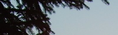 První záběr je výřez z fotografie jehličnatého stromu proti obloze. Druhý záběr vznikl z prvního embeddingem cca 70 KB pseudonáhodných dat pomocí nástroje Stegotools (http://www.sourceforge.