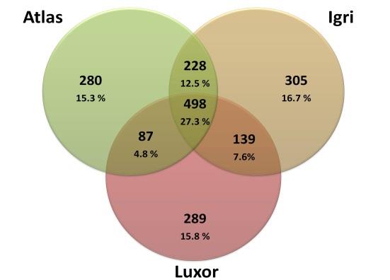 Data byla sbírána po expozici sazenic nízkým teplotám (nad a pod nulou), s cílem identifikovat ty geny a signální/ metabolické dráhy, které jsou spojeny s tolerancí k mrazu.