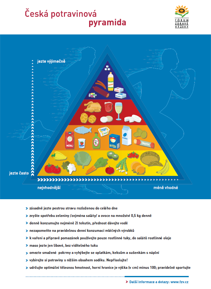 Obrázek 4: Česká potravinová pyramida,