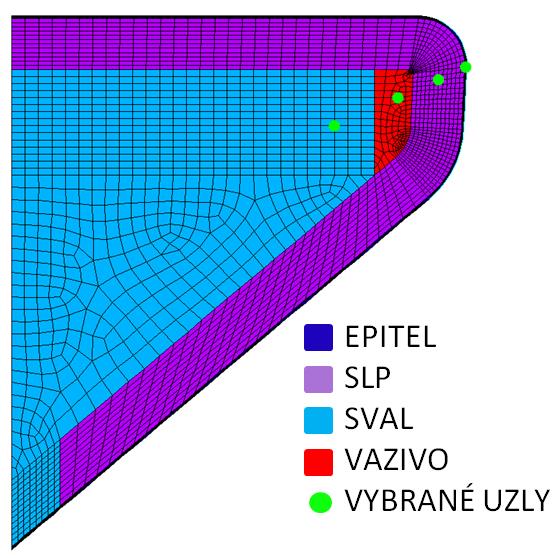 12.9 Napětí ve vybraných bodech jednotlivých vrstev struktury hlasivek Pro vyhodnocení průběhu napětí v čase během fonace byly vybrány čtyři uzly sítě v jednotlivých vrstvách uvnitř struktury