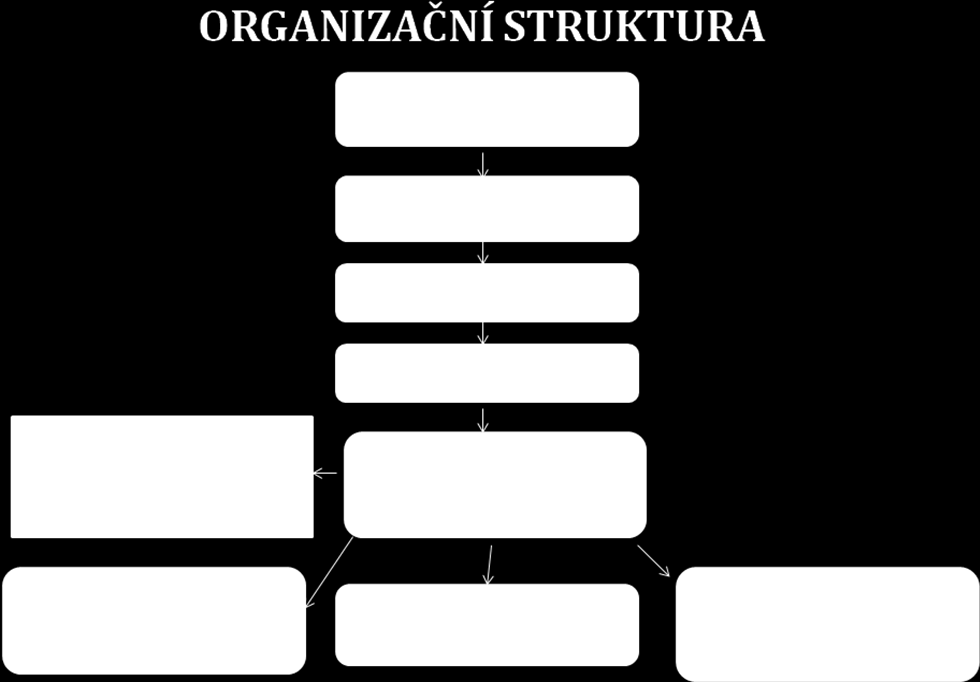 5. ORGANIZAČNÍ STRUKTURA SUBJEKTŮ KPSS HANUŠOVICKA Pracovní skupiny jsou složeny z odborníků na danou oblast sociálních služeb, uživatelů sociálních služeb a také zástupců zadavatele.